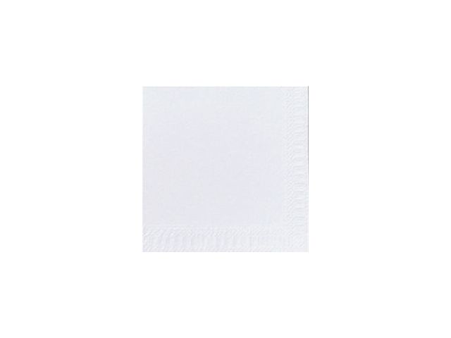 Servett DUNI 2-lags 24x24cm vit 300/fp
