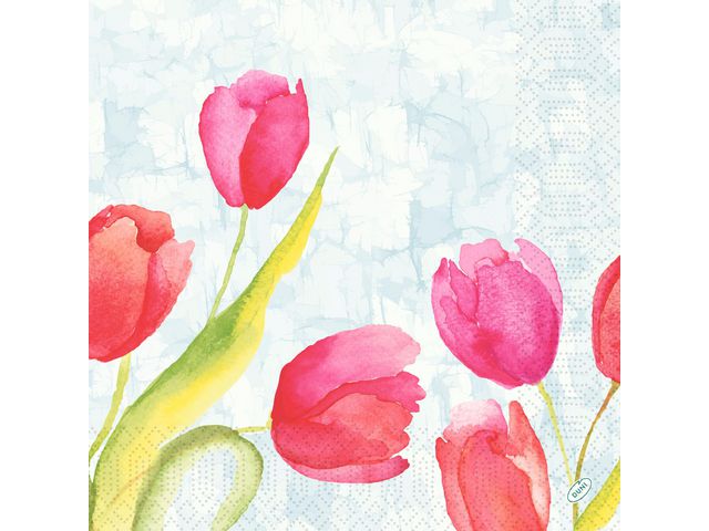 Servett Tulips 3-lags 40x40cm 250/fp
